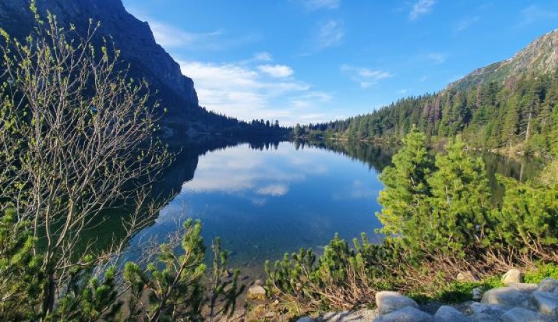 Hotel CROCUS **** Vysoké Tatry